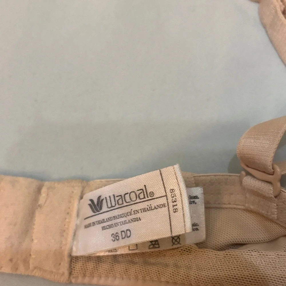 Seamless, adjustable Wacoal Bra - Picture 4 of 4
